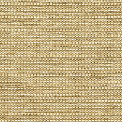 1013254A Swatch