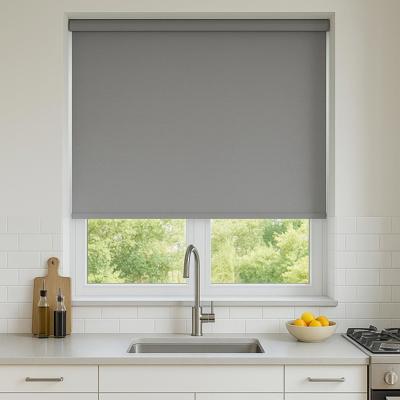Daybreak Ash Roller Blind