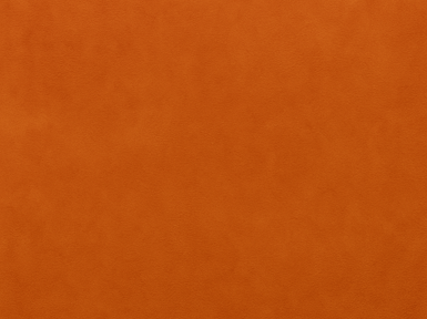 Burnt Orange