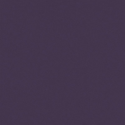 1010899A205 Swatch