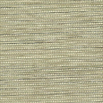 1013492A Swatch