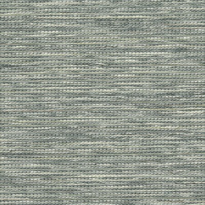 1013693A Swatch