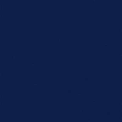 1021978A Swatch