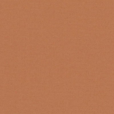 POP TERRACOTTA