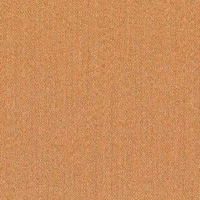 1096127D Swatch