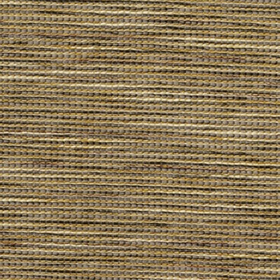 1013155A Swatch