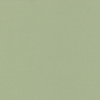 1021863A Swatch