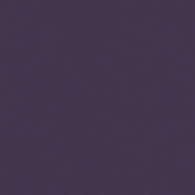 1021899A Swatch