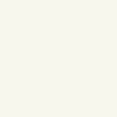 1022100D Swatch