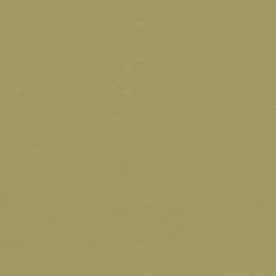 1010863D Swatch