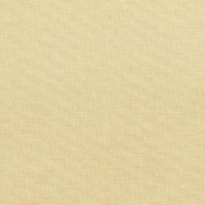 1829111A Swatch