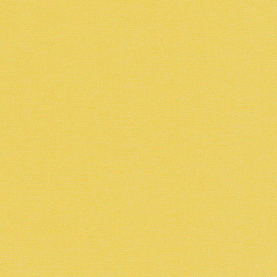 POP BO LEMON