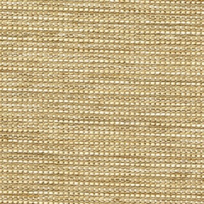 1013254A Swatch