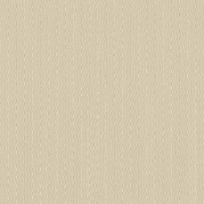 1022234D Swatch