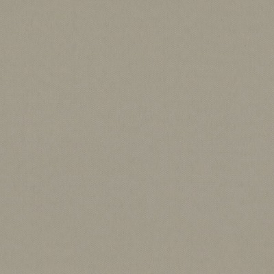 1010492A Swatch