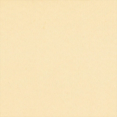 1010114A205 Swatch