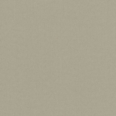 2036243A Swatch