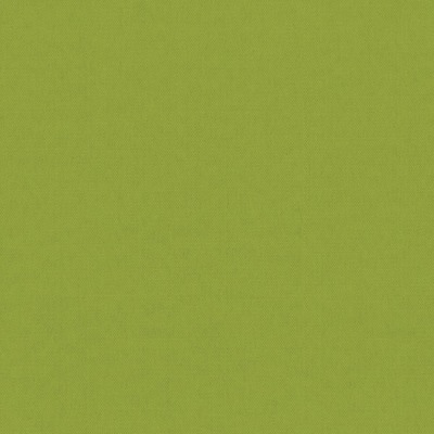 1010466A Swatch