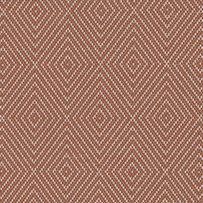 2176294A Swatch