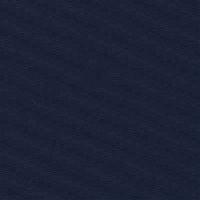 1010890A205 Swatch